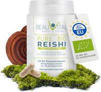 Bio Reishi Plus mit 10% Extrakt (Ganoderma lucidum) 500 mg – 120 Kapseln EU-Anbau