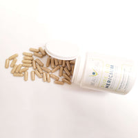 Pure Bio Hericium PLUS 10% Extrakt Kapseln Inhalt von BEAUVITAL