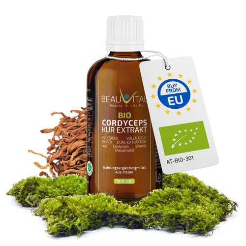 Bio Cordyceps Flüssigextrakt 100 ml – Dualextrakt
