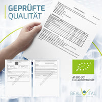 Zertifikat der Reishi Analyse