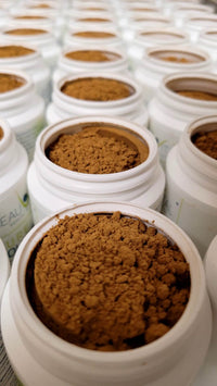Pure Bio Coprinus Schopftintling Pulver Inhalt Dose meherere Dosen BEAUVITAL