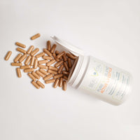 Pure Bio Blend Active Lifestyle Kapseln Inhalt von BEAUVITAL