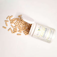Pure Bio Coprinus Schopftintling Kapseln Inhalt von BEAUVITAL