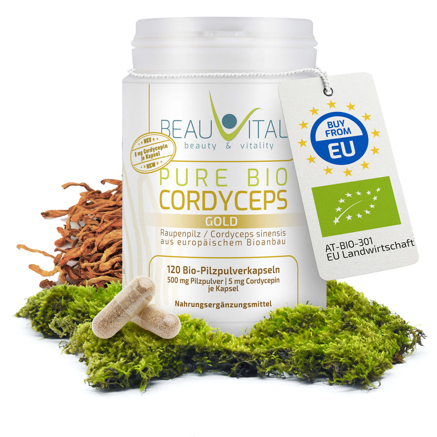 Cordyceps Wirkung