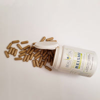 Pure Bio Reishi PLUS 10% Extrakt Kapseln von BEAUVITAL. Inhalt des Produkts mit Kapseln