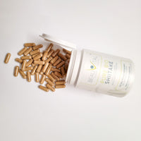 Pure Bio Shiitake Kapseln Inhalt von BEAUVITAL