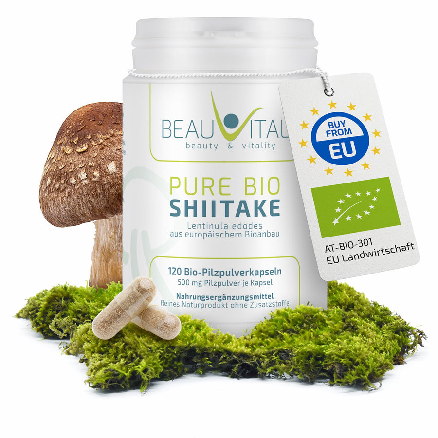 Shiitake Wirkung